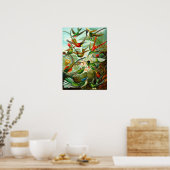 Poster Colibri (Cuisine)