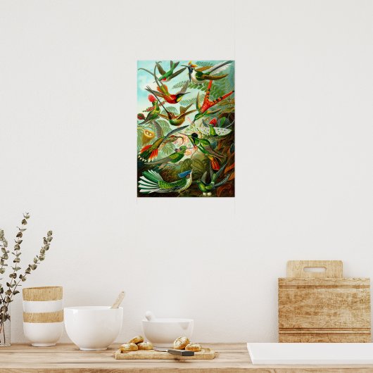 Poster Colibri (Cuisine)