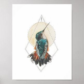 Poster Colibri