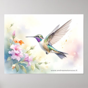 Poster Colibri