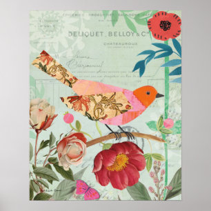 Poster Colibri