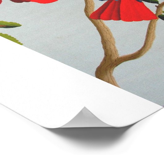 Poster Colibri (Coin)