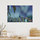 Poster Colibri 5738 (Cuisine)