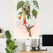 Poster Colibri à bec épée (Bureau à domicile)