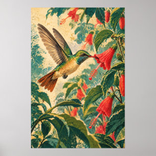 Poster Colibri à ventre roux – Oiseau botanique vintage