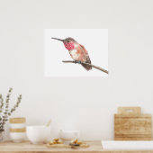 Poster Colibri aquarelle (Cuisine)