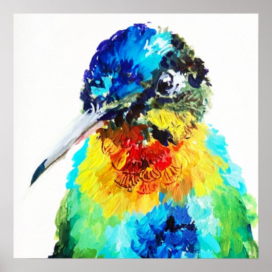Poster Colibri Arc-en-ciel (Devant)