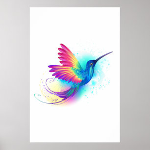 Poster Colibri arc-en-ciel exotique