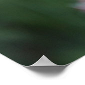 Poster colibri aux lys de beladonna (Coin)