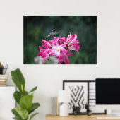 Poster colibri aux lys de beladonna (Bureau à domicile)