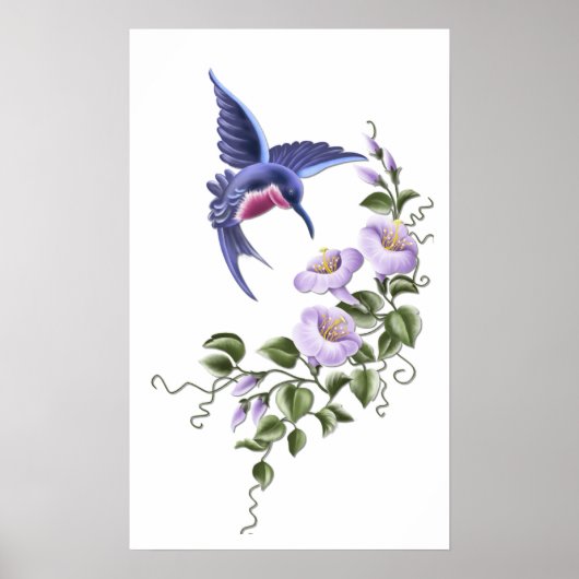 Poster Colibri avec fleurs 2 Imprimer (Devant)