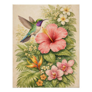 Poster Colibri botanique tropical vibrant Hibiscus