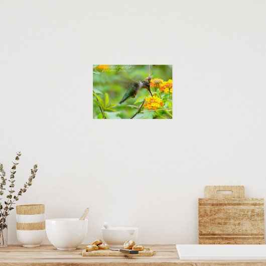 Poster Colibri ~ Chaque cadeau parfait et bon... (Cuisine)