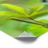 Poster Colibri ~ Chaque cadeau parfait et bon... (Coin)