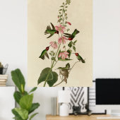 Poster Colibri colombien (Bureau à domicile)