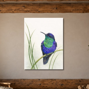 Poster Colibri crowné boisnymphe coloré
