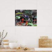 Poster Colibri en vol et fleurs rouges (Cuisine)