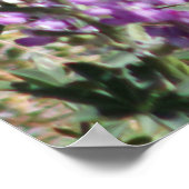 Poster Colibri et Art numérique Fleur sauvage (Coin)