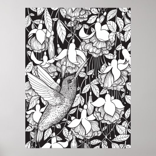 Poster Colibri et fuchsia (Devant)