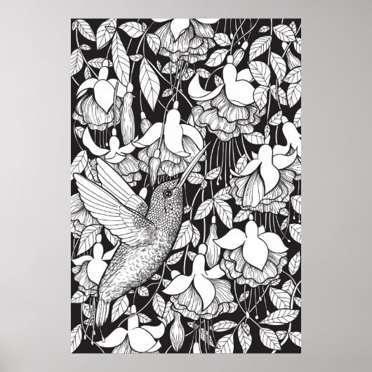 Poster Colibri et fuchsia (Devant)