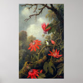 Poster Colibri et passiflores (Devant)