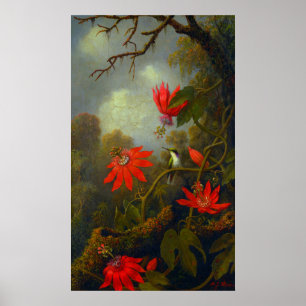 Poster Colibri et Passionflowers (1875)