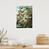 Poster Colibri Extraordinaire Photo par Ernst Haeckel (Cuisine)