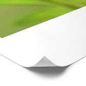 Poster Colibri génial (Coin)