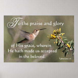 Poster Colibri nous sommes acceptés en copie de Jésus
