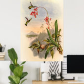 Poster Colibri par John Gould (Bureau à domicile)
