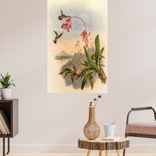 Poster Colibri par John Gould (Salon 3)