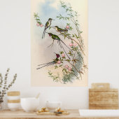 Poster Colibri par John Gould (Cuisine)