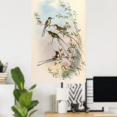 Poster Colibri par John Gould (Bureau à domicile)