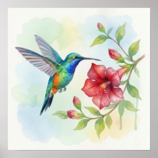 Poster Colibri petit aquarelle (Devant)