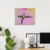 Poster Colibri pourpre à longue queue (Bureau à domicile)