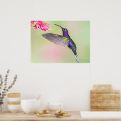 Poster Colibri pourpre en vol (Cuisine)