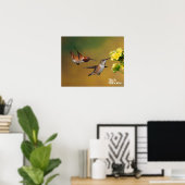 Poster Colibri roux flottant (Bureau à domicile)