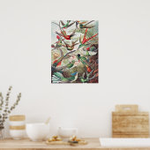 Poster Colibri, Trochilidae Kolibris par Ernst Haeckel (Cuisine)