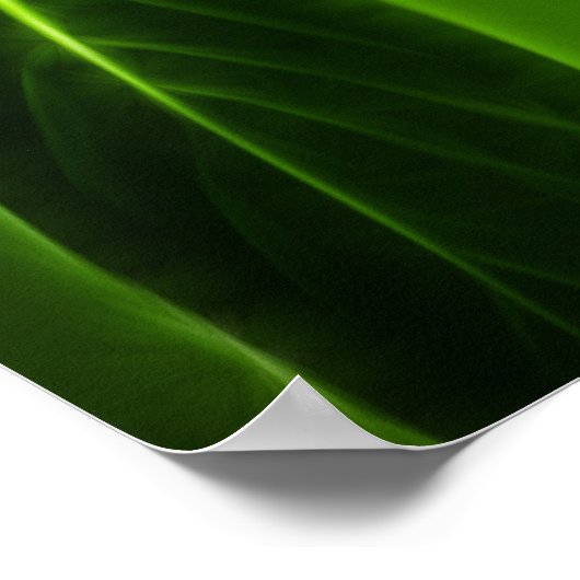 Poster Colibri vert (Coin)