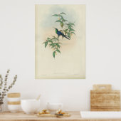 Poster Colibri vert et bleu (Cuisine)