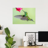 Poster Colibri vert volant vers une fleur rouge (Bureau à domicile)