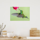 Poster Colibri vert volant vers une fleur rouge (Cuisine)