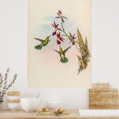 Poster Colibri vintage par John Gould (Cuisine)
