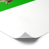 Poster Colibri x16 (Titre) (Coin)