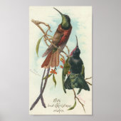 Poster Colibris de Noël (Devant)