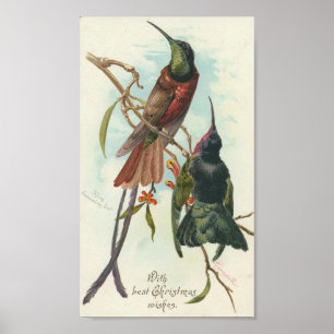 Poster Colibris de Noël