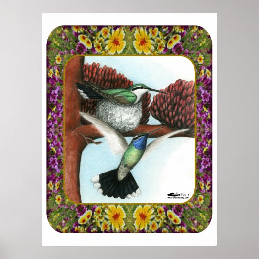 Poster Colibris et Fleurs #3 (Devant)