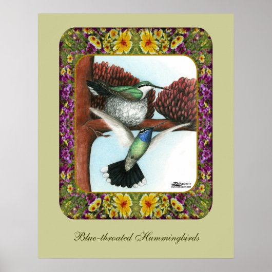 Poster Colibris et Fleurs #3 (Devant)