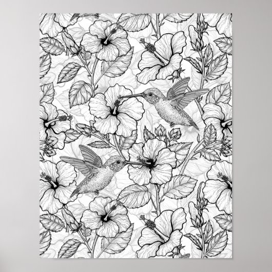 Poster Colibris et fleurs d'hibiscus b&w (Devant)