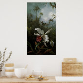 Poster Colibris et orchidée blanche par Martin J. Heade (Cuisine)